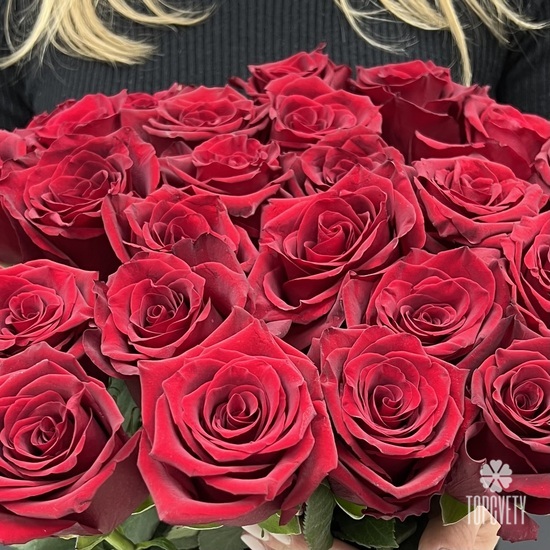 Букет из 25 красных роз Эксплорер 70см