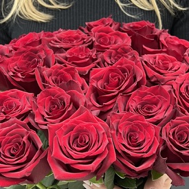 Букет из 25 красных роз Эксплорер 70см