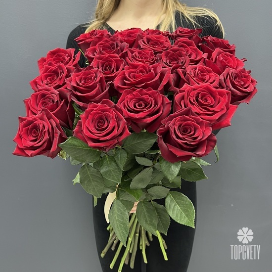 Букет из 25 красных роз Эксплорер 70см