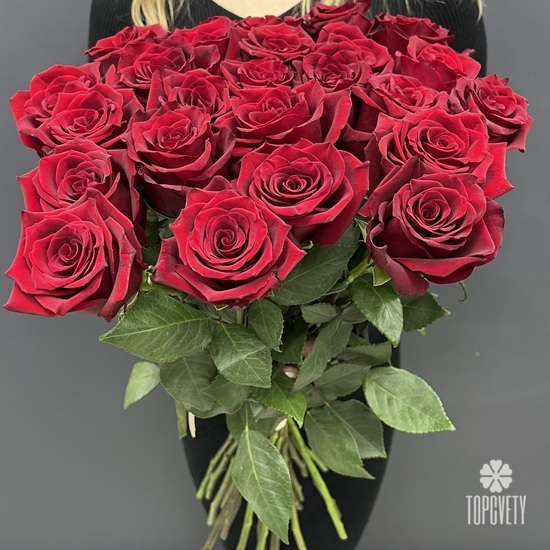 Букет из 25 красных роз Эксплорер 70см