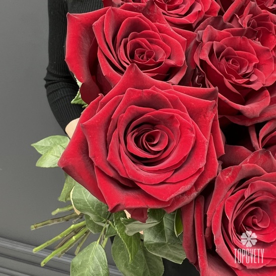 Букет из 25 красных роз Эксплорер 70см