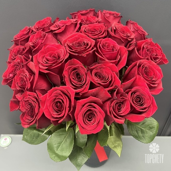 Букет из 25 красных роз 50 см