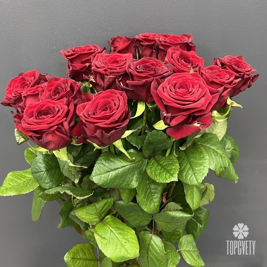 Букет из 15 красных роз Ред Наоми 70см
