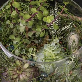 Композиция №9