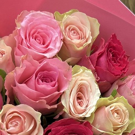Букет из 25 розовых роз микс 40см