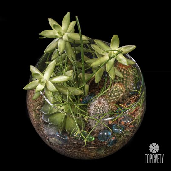 Композиция №10