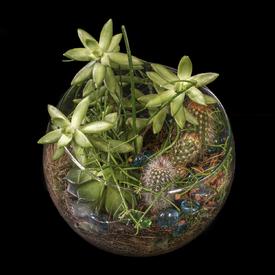 Композиция №10