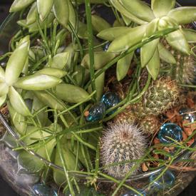 Композиция №10