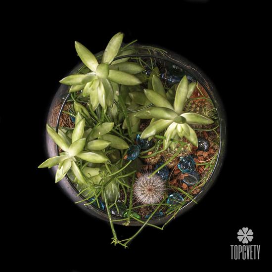 Композиция №10