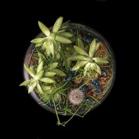 Композиция №10