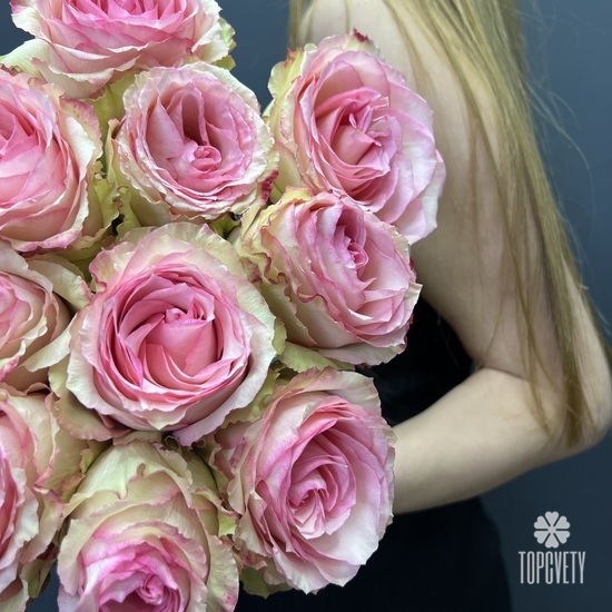 Букет из 15 розовых роз Эквадор 50см