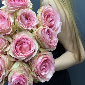 Букет из 15 розовых роз Эквадор 50см