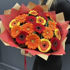 Букет из 21шт герберы микс