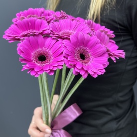 Букет из 9шт розовых гербер