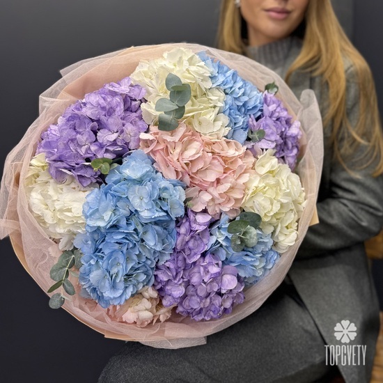 Букет из 11 разноцветных гортензий