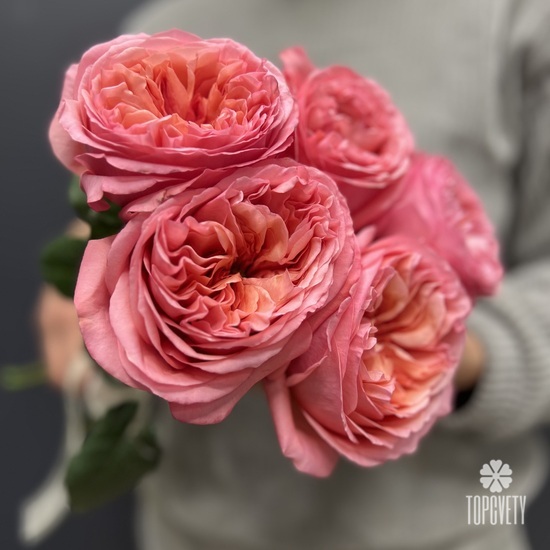 Букет из 5 розовых роз пионовидных