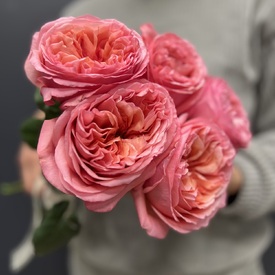 Букет из 5 розовых роз пионовидных