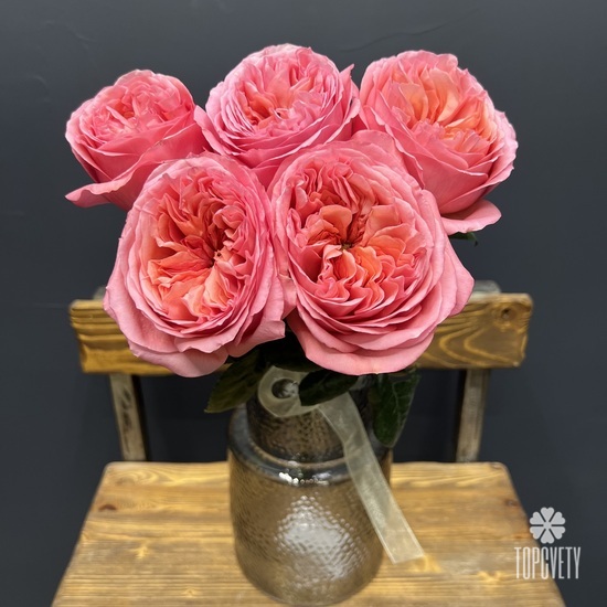 Букет из 5 розовых роз пионовидных