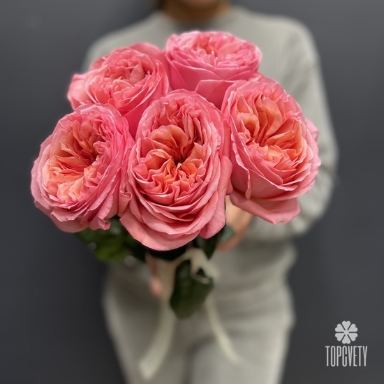 Букет из 5 розовых роз пионовидных