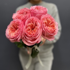 Букет из 5 розовых роз пионовидных
