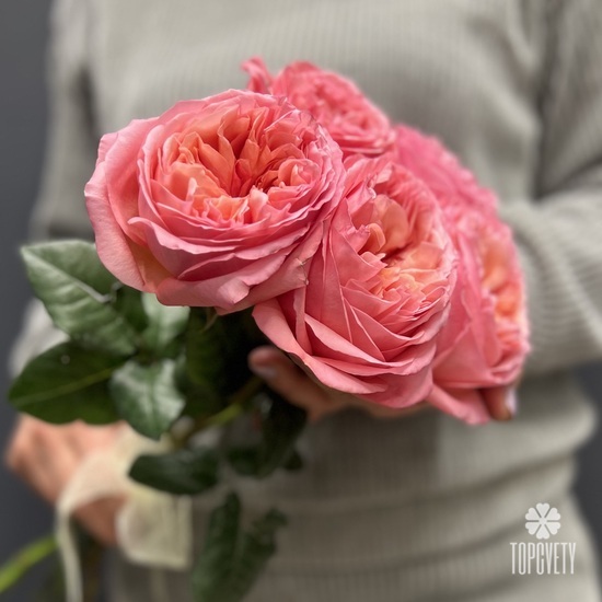 Букет из 5 розовых роз пионовидных