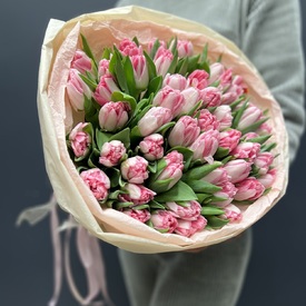 Букет из 51 пионовидного тюльпана