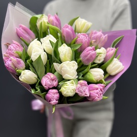 Букет из 25 тюльпанов микс