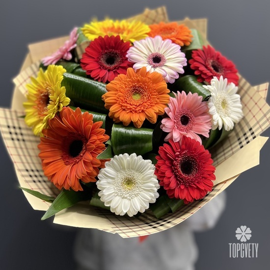 Букет из 15 Гербер микс 