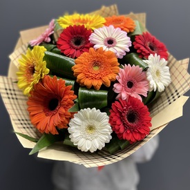 Букет из 15 Гербер микс 
