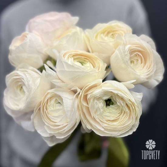 Букет из 9 ранункулюсов 