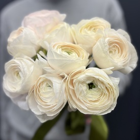 Букет из 9 ранункулюсов 