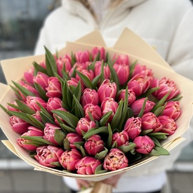 Букет из 51 пионовидного тюльпана 