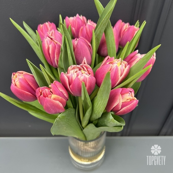 Букет из 15 пионовидных тюльпанов 