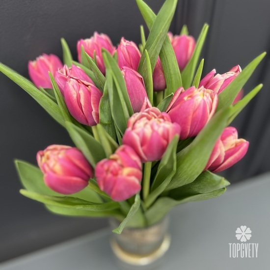 Букет из 15 пионовидных тюльпанов 