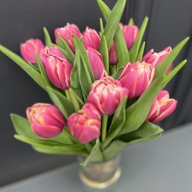 Букет из 15 пионовидных тюльпанов 
