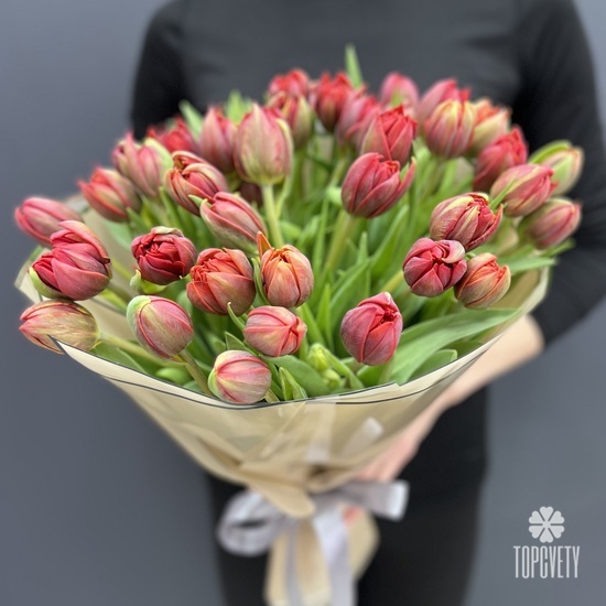 Букет из 51 красного пионовидного тюльпана