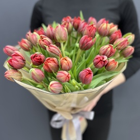 Букет из 51 красного пионовидного тюльпана