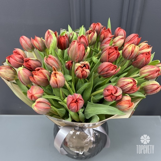 Букет из 51 красного пионовидного тюльпана