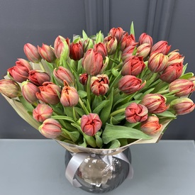 Букет из 51 красного пионовидного тюльпана