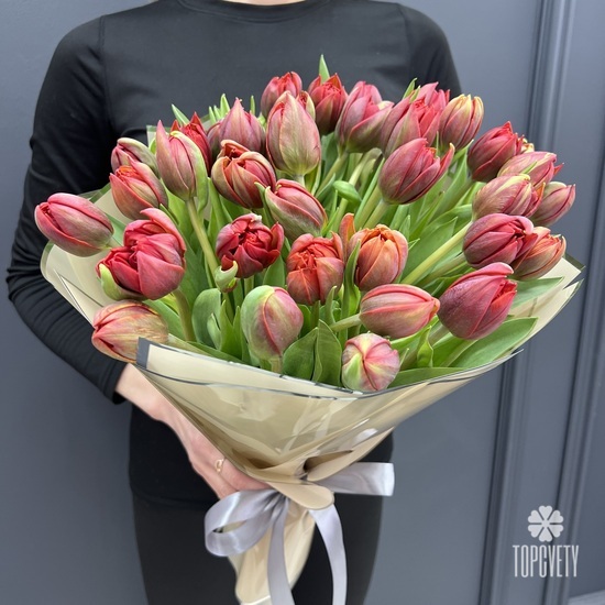 Букет из 51 красного пионовидного тюльпана