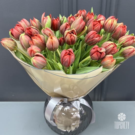 Букет из 51 красного пионовидного тюльпана