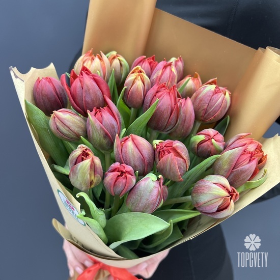 Букет из 25 красных пионовидных тюльпанов