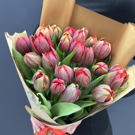 Букет из 25 красных пионовидных тюльпанов