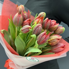 Букет из 15 красных  пионовидных тюльпанов