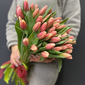 Букет из 51 тюльпана 