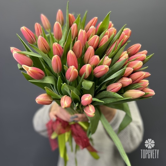 Букет из 51 тюльпана 