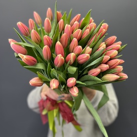 Букет из 51 тюльпана 