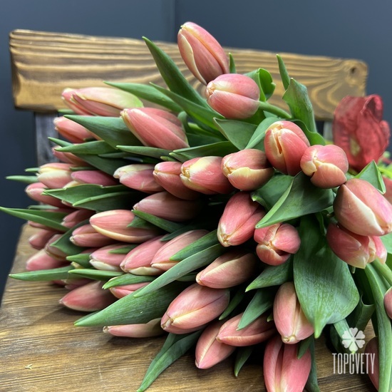 Букет из 51 тюльпана 