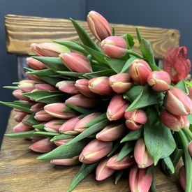 Букет из 51 тюльпана 