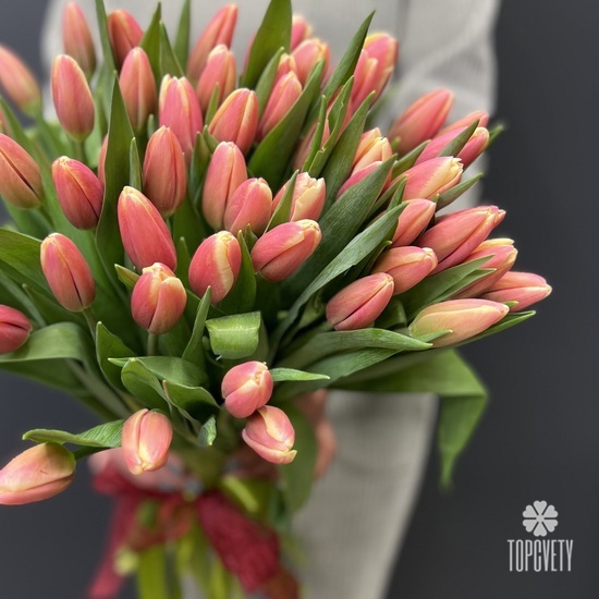 Букет из 51 тюльпана 
